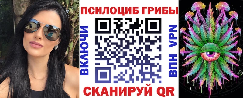 Галлюциногенные грибы Psilocybe  Черняховск 