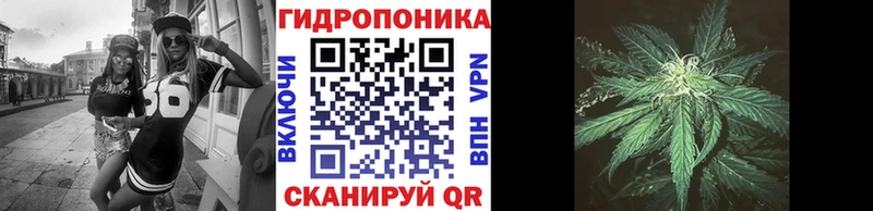 Бошки марихуана THC 21%  Черняховск 
