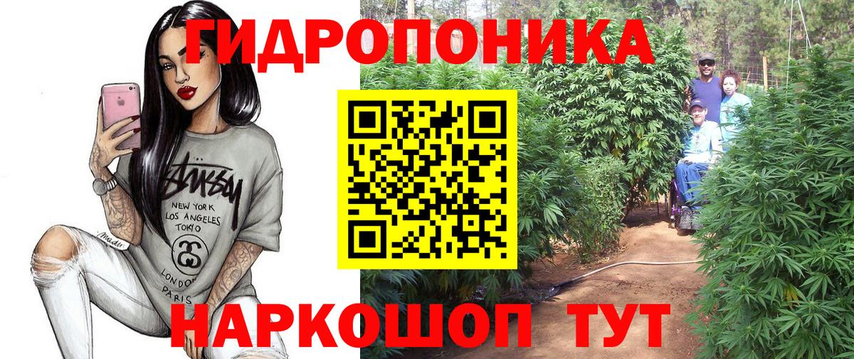 Бошки Шишки тримм  МАРИХУАНА SATIVA & INDICA  Черняховск  Каннабис планчик  Вход с VPN  Конопля Ganja 